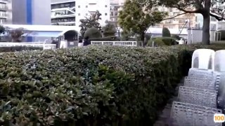 艺术温碧霞成人惊变主演视频- 高清在线观看
